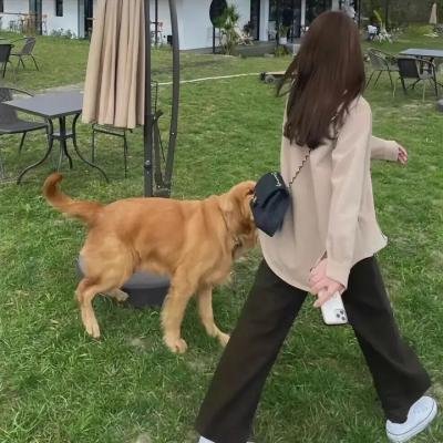 萝蕾莱